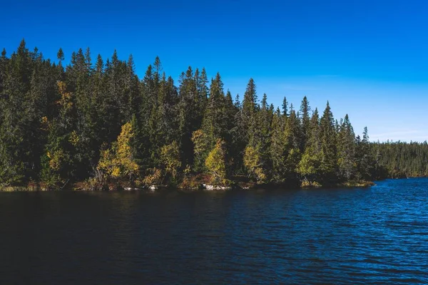 Een Prachtig Landschap Van Fiskelausen Lake Totenaasen Hills Met Herfstbomen — Stockfoto