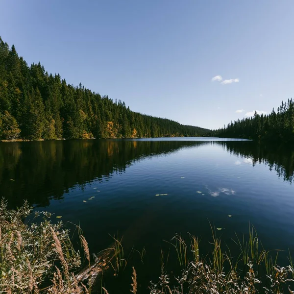 ノルウェー トテナセンヒルズのスバルトダルシュテルナ森林保護区のビッグ スバルトダルン湖 — ストック写真