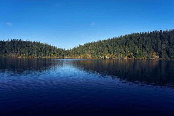 Lac Svartdal Stjerna Les Arbres Forêt Arrière Plan Pendant Automne — Photo
