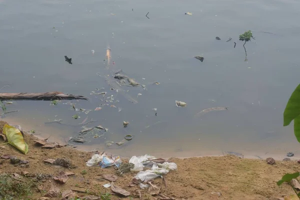 Rio Com Lixo Água Poluída Ambiente Conceito Ecologia — Fotografia de Stock