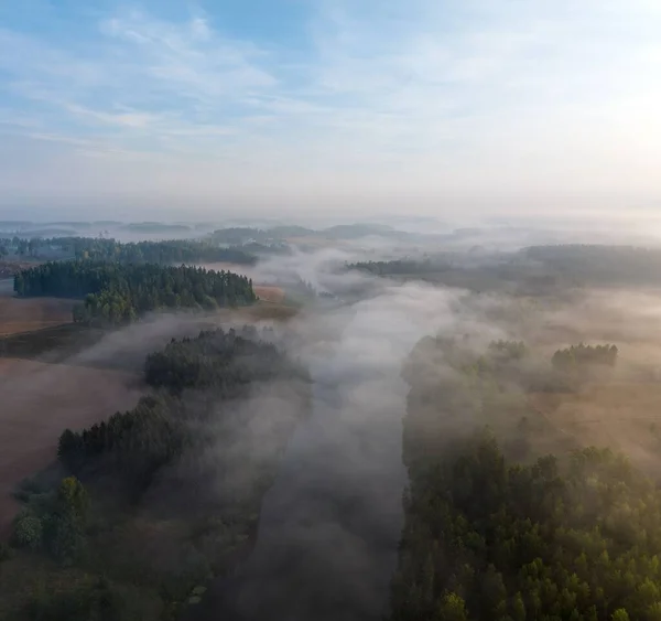 Een Luchtfoto Van Grote Landschappen Dennenbossen Een Mistige Dag — Stockfoto