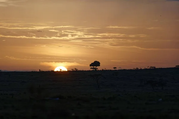Hermoso Paisaje Amanecer Sobre Reserva Nacional Masai Mara Kenia — Foto de Stock
