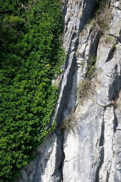 Huge Rock Covered Greenery — Stock Photo, Image