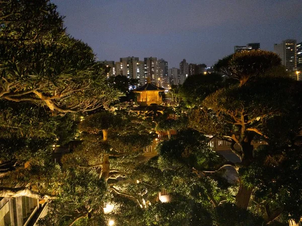 Θέα Drone Των Ψηλών Πράσινων Δέντρων Φόντο Τις Πολυκατοικίες Νύχτα — Φωτογραφία Αρχείου