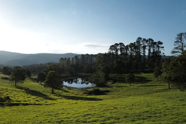 Güneşli bir günde Hunter Valley 'de göl manzarası