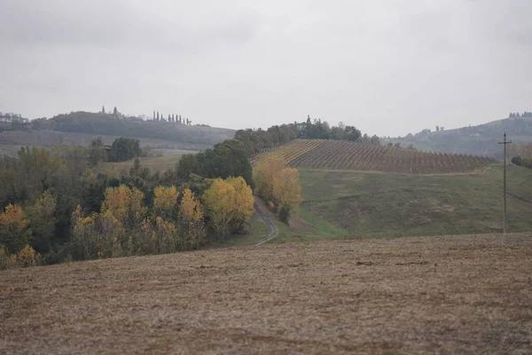 Ein Malerischer Blick Auf Die Grünen Hügel Vor Landwirtschaftlichem Hintergrund — Stockfoto