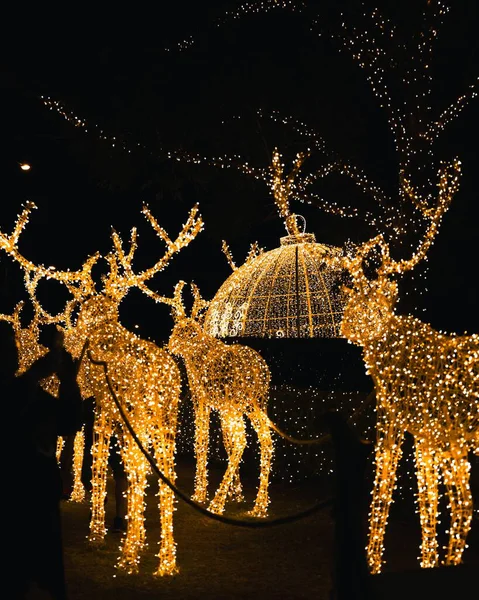 Tiro Vertical Decorações Iluminadas Veados Natal Uma Cidade Noite — Fotografia de Stock