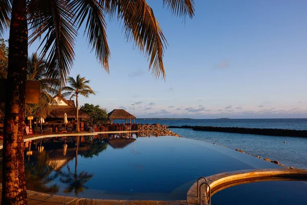 Infinity Pool Taj Coral Reef Resort Spa Male Maldiverna — Stockfoto