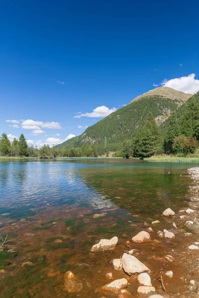 Vista Hipnotizante Água Transparente Lago Montanha Cercado Por Pinheiros Vale — Fotografia de Stock