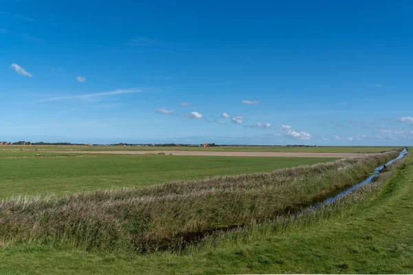 Ein Malerischer Blick Auf Ein Offenes Feld Ameland Den Niederlanden — Stockfoto