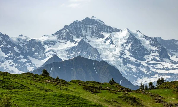 Festői Táj Jungfrau Csúcs Bernese Alpok Svájcban — Stock Fotó