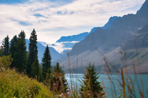Uma Bela Paisagem Montanha Com Lago Atrás Árvores Banff Jasper — Fotografia de Stock