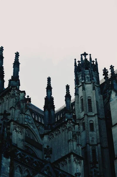 德国科隆大教堂日落时的垂直照片 — 图库照片