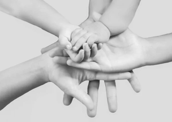 Сіра Гамма Членів Сім Тримає Руки — стокове фото