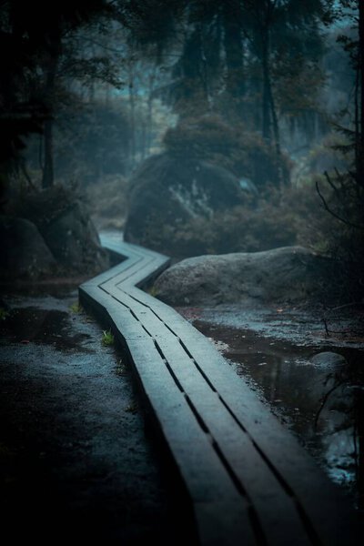 A vertical shot of an old wooden road in a forest on a gloomy, rainy day