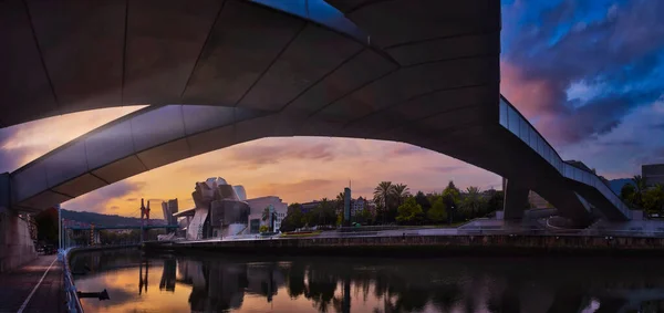 Muzeum Guggenheima Bilbao Nocą Kraj Basków Hiszpania — Zdjęcie stockowe