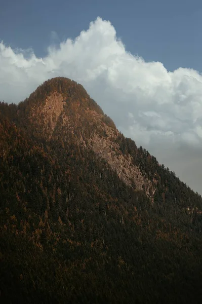 Вертикальный Снимок Горы Зеленой Растительностью Фоне Облачного Голубого Неба — стоковое фото