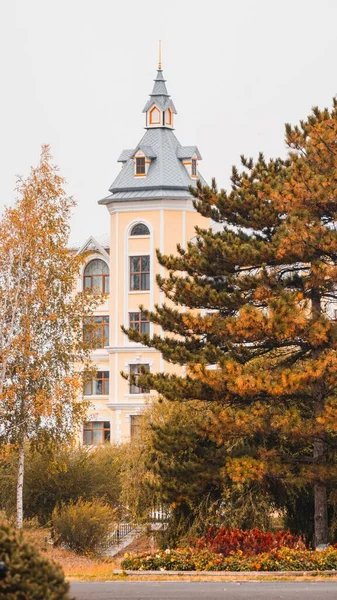 Colpo Verticale Del Volga Manor Durante Giorno Harbin Cina — Foto Stock