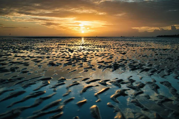 Ein Schöner Blick Auf Einen Sonnenuntergang Über Dem Strand — Stockfoto