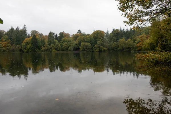 Krásný Pohled Odraz Zeleného Lesa Břehu Jezera Podzim — Stock fotografie