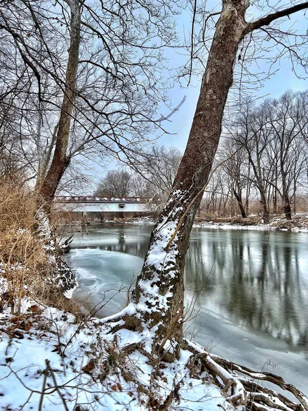 Vertikální Záběr Stromů Pokrytých Sněhem Zamrzlým Jezerem Mostem Potterově Mostě — Stock fotografie