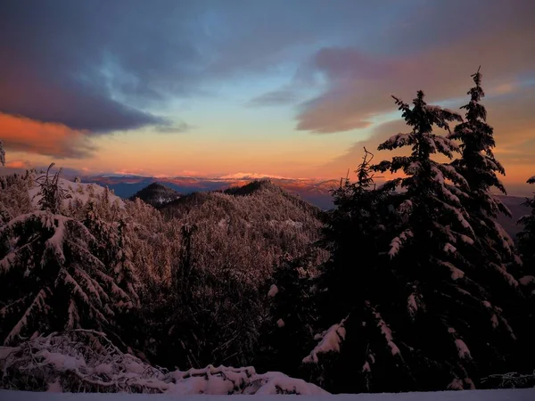 Een Prachtig Winterlandschap Met Besneeuwde Bomen Bergen Achtergrond Bij Zonsondergang — Stockfoto