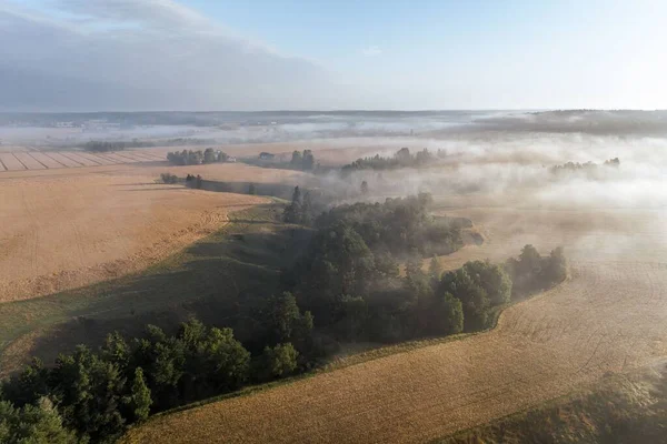 霧の日にはモミの森や小麦畑と大きな風景の空中写真 — ストック写真