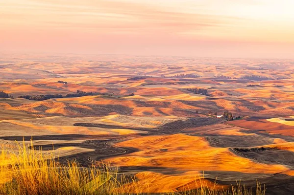 Een Prachtige Gouden Zonsondergang Boven Een Geoogst Tarweveld Met Een — Stockfoto