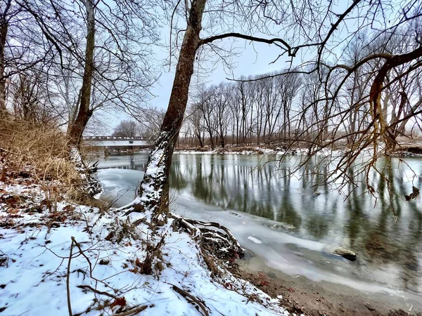 雪に覆われた木々 凍った湖 ポッター橋公園の橋 — ストック写真