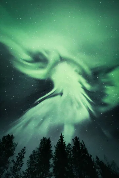 Зоряному Небі Полярна Аврора Освітлює Силуети Дерев Лісі Лапландії Фінляндія — стокове фото
