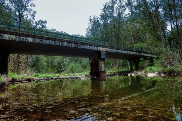 Bro Över Sjön Omgiven Täta Träd — Stockfoto