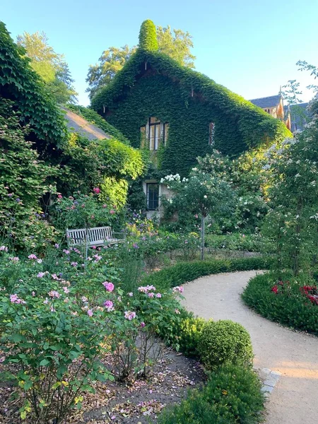Piękny Ogród Chodnikiem Dom Pokryty Zielonymi Liśćmi — Zdjęcie stockowe