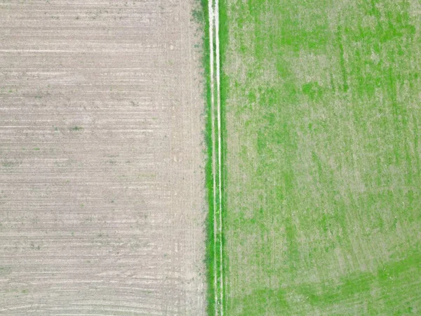 狭い境界線によって分割された二つのフィールドの空中写真 — ストック写真