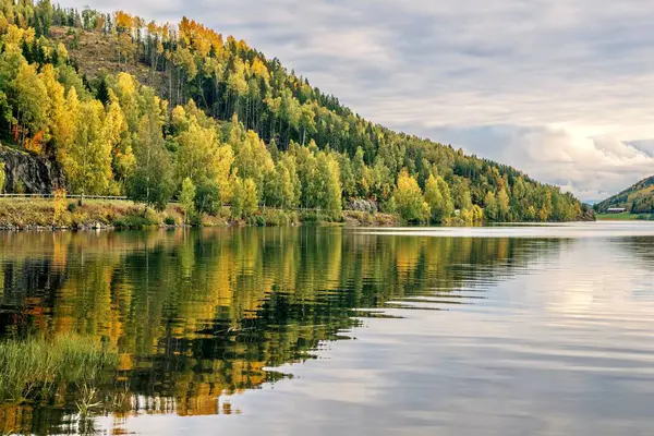 Lago Quieto Que Refleja Árboles Otoño Verdes Amarillos Brillantes Día — Foto de Stock
