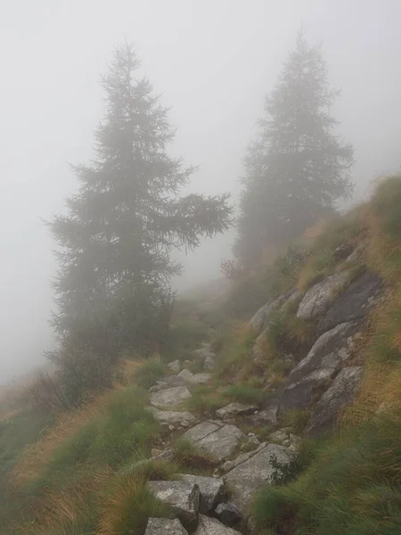 雾蒙蒙的青山斜坡上一条狭窄的小径的垂直截图 — 图库照片