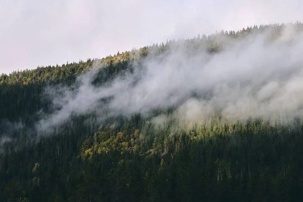 Una Bella Vista Della Nebbia Sulle Colline Totenaasen Norvegia Durante — Foto Stock