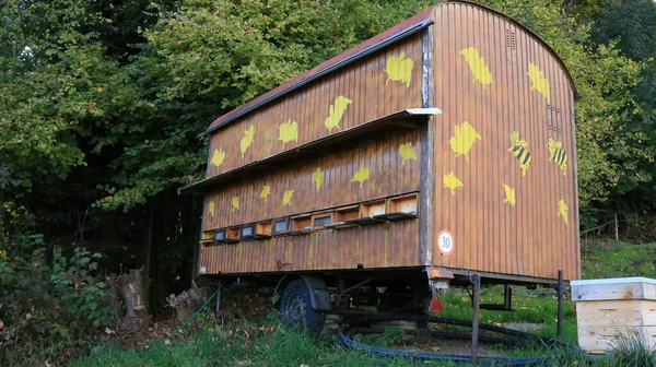 Hermoso Primer Plano Una Camioneta Con Pinturas Bosque —  Fotos de Stock