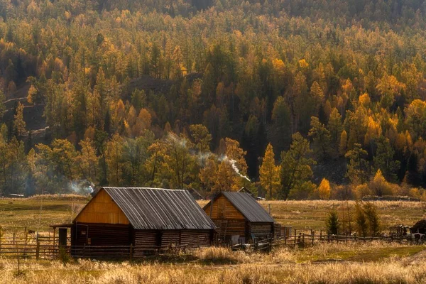 Красивый Пейзаж Деревянного Дома Сарая Осеннее Время Синьцзяне — стоковое фото