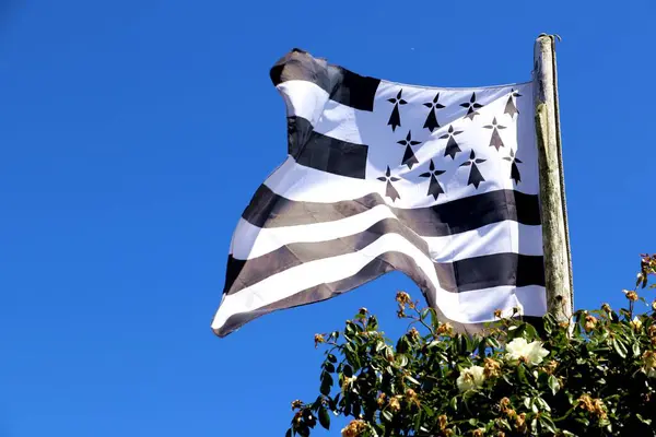 布列塔尼国旗的特写镜头 黑白相间 飘扬在空中 — 图库照片
