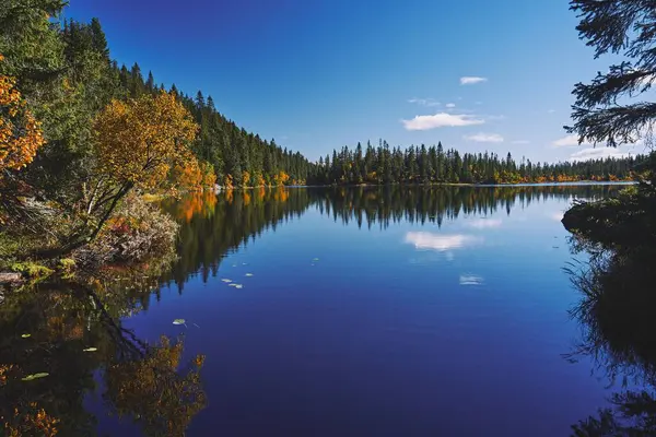 ノルウェーのオップランド州トテナセンヒルズの秋の間に木に囲まれたスバルダル シュターナ湖 — ストック写真
