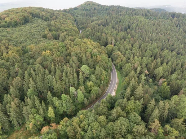 Plan Drone Une Route Asphaltée Traversant Une Forêt Montagne Dense — Photo