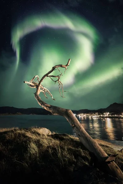 Tiro Vertical Das Luzes Polares Aurora Céu Estrelado Sobre Lago — Fotografia de Stock