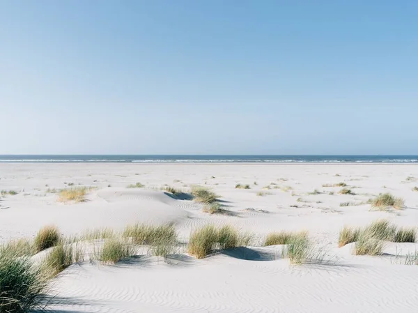 Yazın Almanya Juist Güzel Bir Plaj Manzarası — Stok fotoğraf