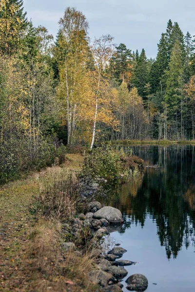 Pionowe Ujęcie Żółtego Zielonego Jesiennego Lasu Kamieni Otaczających Jezioro — Zdjęcie stockowe