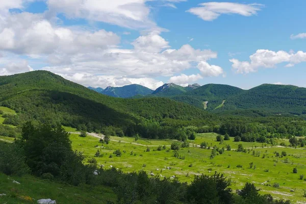 Une Vue Panoramique Chaîne Montagnes Velebit Couverte Arbres Veliki Popratnjak — Photo