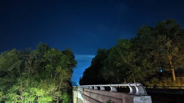 Beautiful Scenery Bridge Passing Green Leafy Terrain Night — Stock Photo, Image