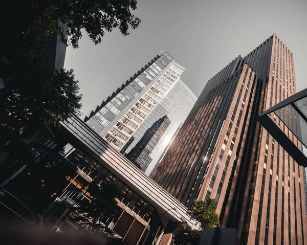 Alacsony Szögű Felvétel Seattle Modern Városáról Épületekkel Felhős Alatt — Stock Fotó