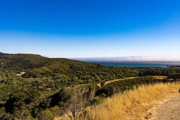Eine Schöne Aufnahme Der Old Coast Road Kalifornien — Stockfoto