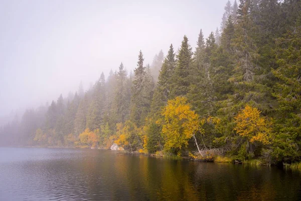 霧の中で秋の木々と十天山丘陵のスヴァルトダルシュテルン湖の美しい景色 — ストック写真