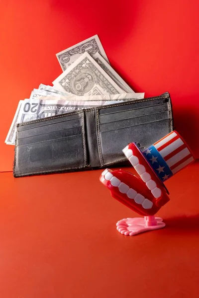 Ein Portemonnaie Mit Den Banknoten Neben Einer Zahndekoration Stil Auf — Stockfoto